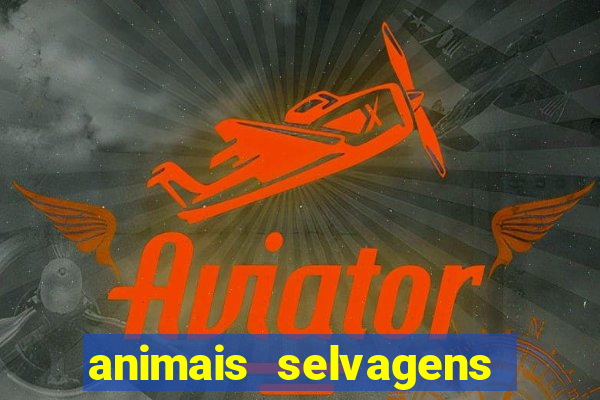 animais selvagens fotos e nomes